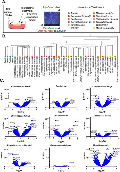 Global view of transcriptomics data. a Experimental overview showing ...