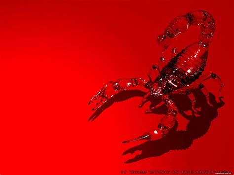 Red Scorpion Wallpapers - Wallpaper Cave