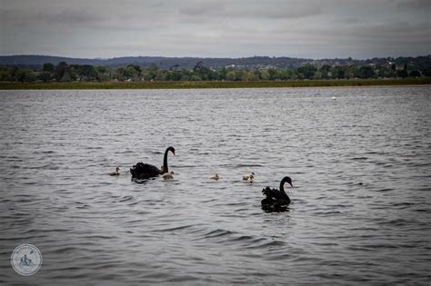 Lake Wendouree Adventure Playground, Ballarat