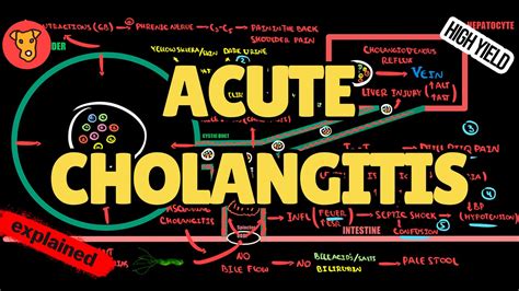 Cholangitis Triad