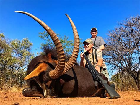 AFRICA MAXIMUM: 10-Day Sable Hunt for Two Hunters and Two Non-Hunters in South Africa - Includes ...