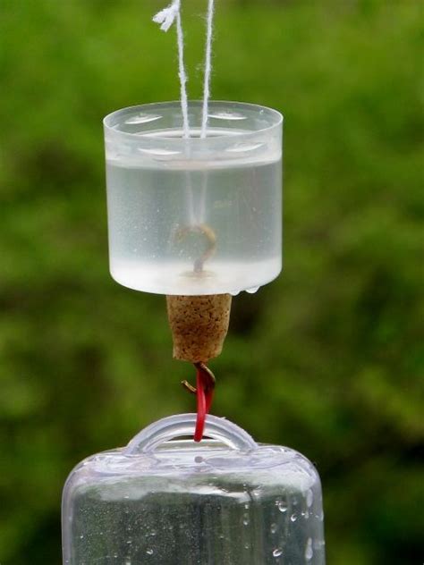 Ant Moat for hummingbird feeder. Hairspray cap, two cup hooks, a cork ...