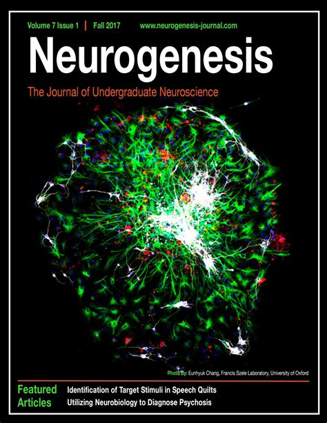 Neurogenesis Fall 2017 by Neurogenesis: The Journal of Undergraduate Neuroscience - Issuu