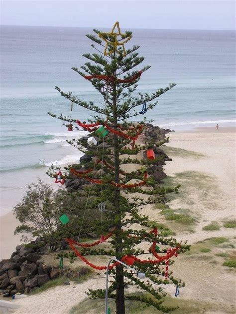 Australian Christmas Tree, Aussie Christmas, Christmas Cheer, Christmas Time, Christmas Wreaths ...