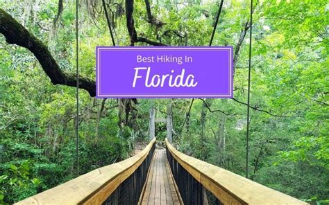 Best Hiking In Florida - Buddy The Traveling Monkey