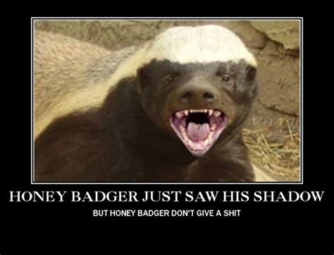 Honey Badger Funny Quotes. QuotesGram