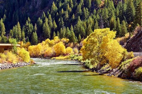 Premium Photo | Landscape with autumn trees and river