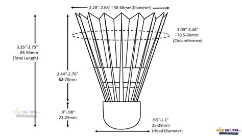 Badminton Shuttlecock Measurement & Dimension Guide - YouTube