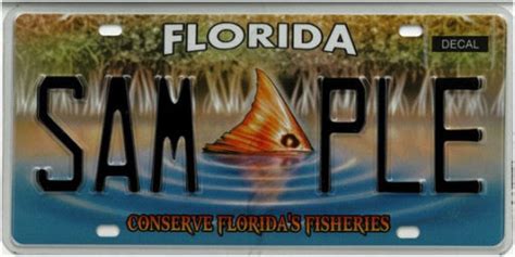 FLHSMV announces new Florida Specialty license plate – DOMINICAN INTL ...