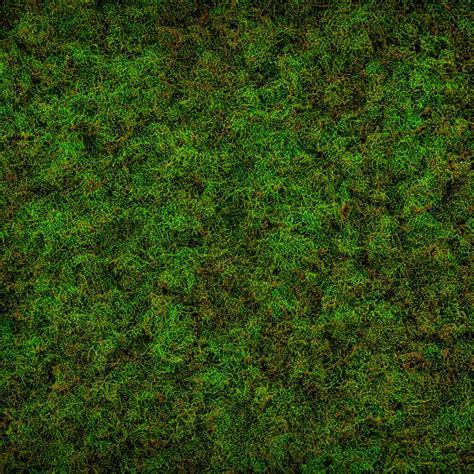 moss texture material, high definition, high detail, | Stable Diffusion