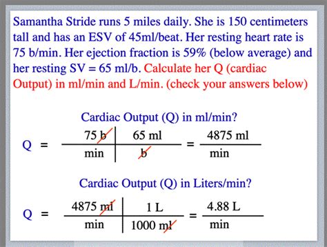 Sample cardiac output calculations