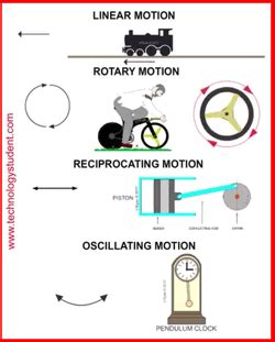 DIFFERENT TYPES OF MOVEMENT / MOTION