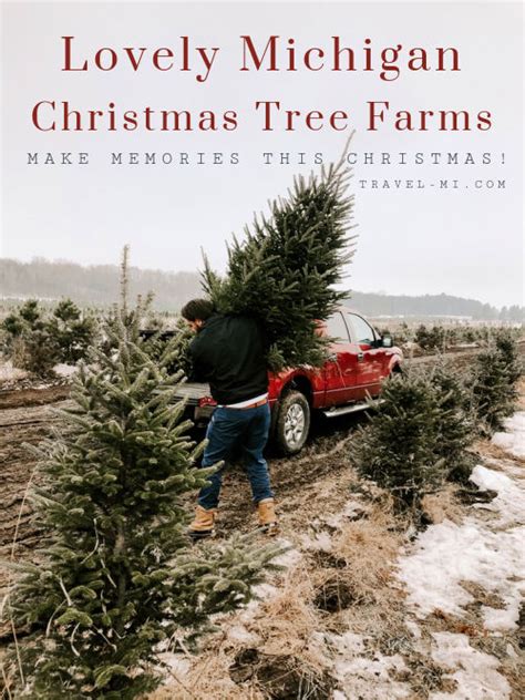 60 BEST Michigan Christmas Tree Farms 2023-U Cut, Map + Directory