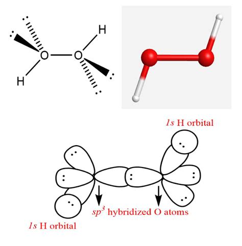 (a) The structures of cis- and trans- $\mathrm{N}_2 \mathrm{ | Quizlet