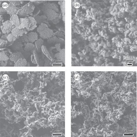 Morphologies of the DNA-silica complexes synthesized with various... | Download Scientific Diagram