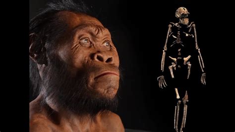 Archaeologists discover new species of Hominid - YouTube