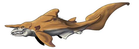 Goblin Shark Drawing at GetDrawings | Free download