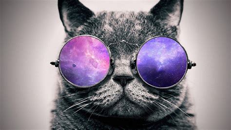 Glasses Cat Galaxy Wallpapers - Top Free Glasses Cat Galaxy Backgrounds - WallpaperAccess