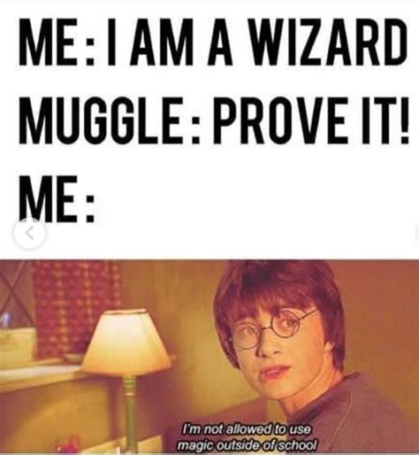 Harry potter : Muggle Memes #Harry #potter | Harry potter memes, Harry ...