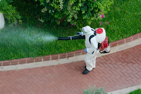 5 Tips For Hiring The Right Pest Control Company | FreePress Directory