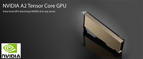 @Xi Computer Corp. | NVIDIA A2 Tensor Core GPU Entry-level GPU