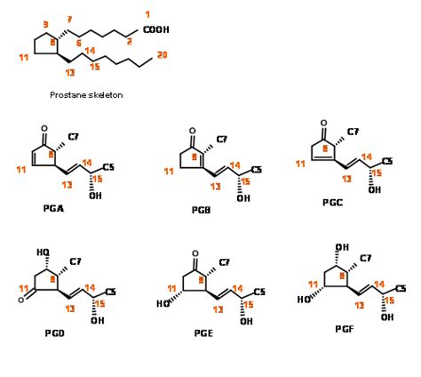 10: Strategies in Prostaglandins Synthesis - Chemistry LibreTexts