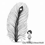 Peacock Feather Coloring Pages  Free & Printable sketch template