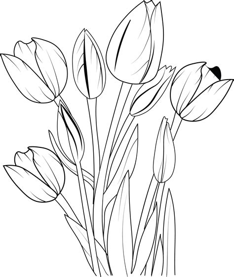 Easy sketch art of tulip flowers bouquet, floral line art hand drawn illustration, Eustoma ...