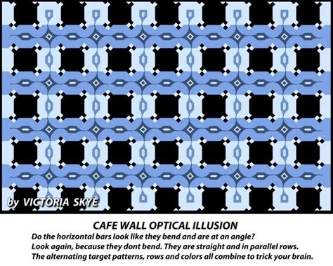 Optical Illusion Makes Parallel Lines Look Slanted | Others