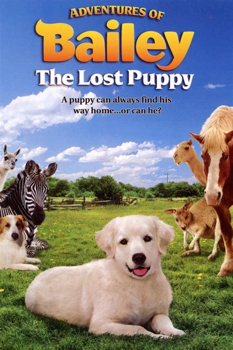 Adventures of Bailey: The Lost Puppy Pictures - Rotten Tomatoes