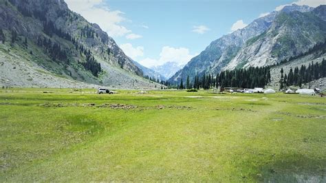 Grassland and Shrubland Ecosystem of Pakistan - Climatic Biome