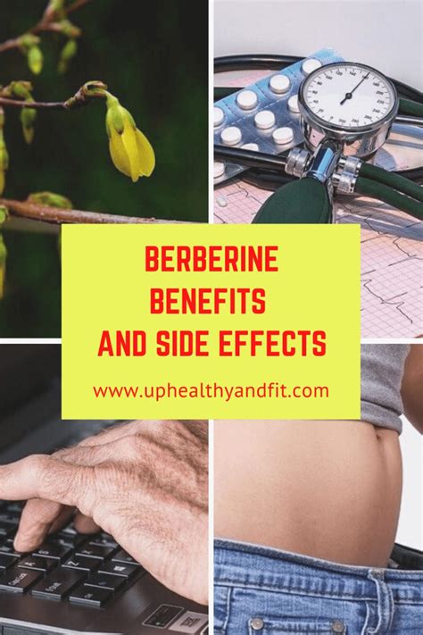 Berberine benefits and side effects