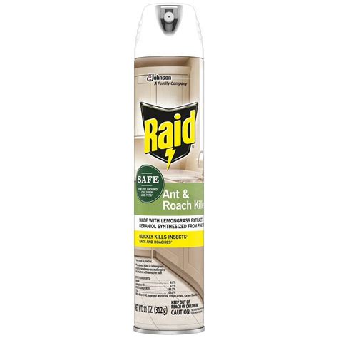 Raid 11 oz. Ant and Roach Killer Spray with Essential Oils SCJ306105 ...