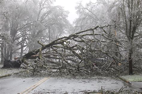 Oregon ice storm leaves thousands in the dark | Oregon | thecentersquare.com