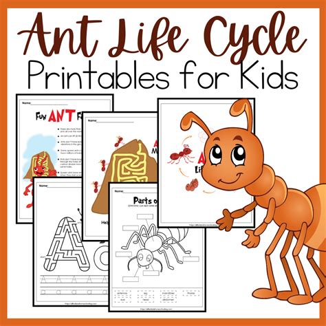 Life Cycle Of An Ant Printables Ants Printable Insect Life Cycle ...