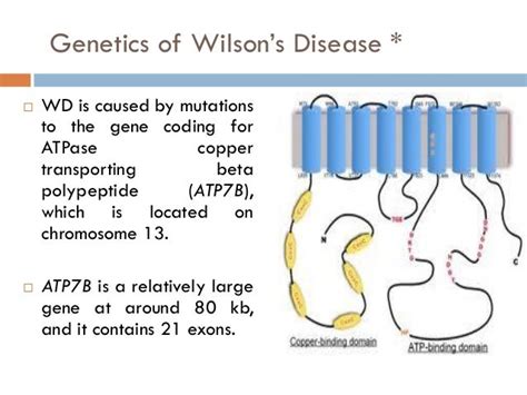 Wilson disease