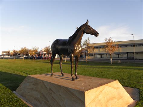 Makybe Diva - Melbourne Cup Photo (36009737) - Fanpop