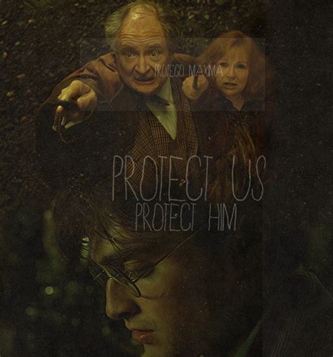 Protego Maxima - Harry Potter Photo (28840959) - Fanpop