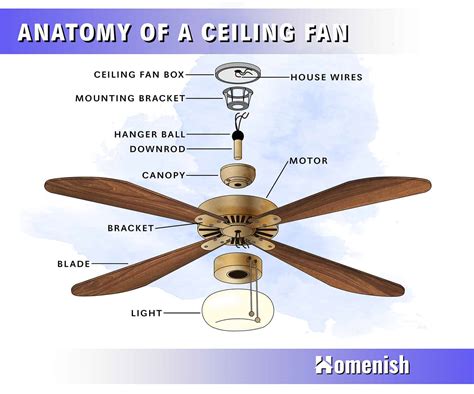 8 Parts of a Ceiling Fan (with Illustrated Diagram) - Homenish