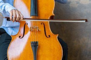 Cello Vs. Bass: What's the Difference?