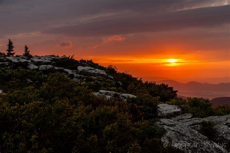 Dolly Sods Wilderness - American Byways - Explore Your America ...