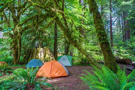 Campsites In Redwood National Park | Kids Matttroy