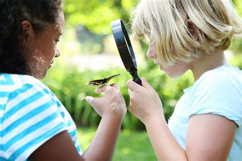 8 Books About Insects for Your Young Reader