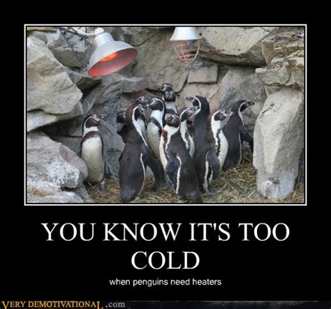 YOU KNOW IT'S TOO COLD - Very Demotivational - Demotivational Posters | Very Demotivational ...