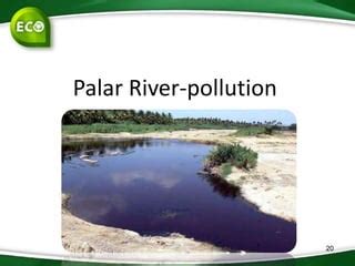 Case studies of pollution | PPT