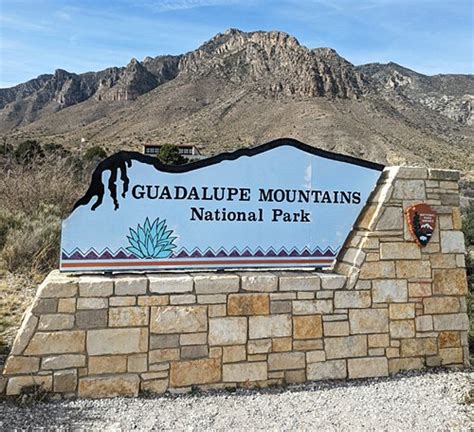 Guide to the Wildlife of Guadalupe Mountains National Park