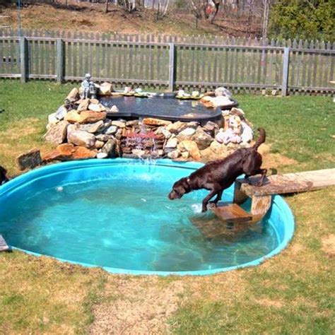 How To Create Awesome Dog Pool In Low Budget | Housetodecor.com