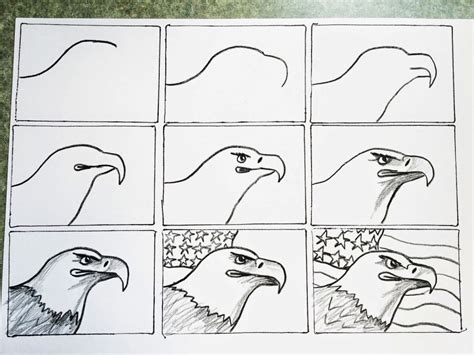 Found on Google from drawingsware.net | Eagle drawing, Drawings, Eagle art