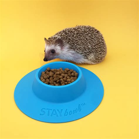 STAYbowl® Tip-proof Food Bowl – Hedgehogs and Friends