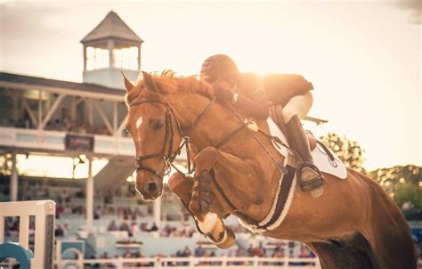 Horse Jumping Wallpapers - Top Free Horse Jumping Backgrounds ...